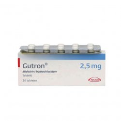 Гутрон таблетки 2,5 мг. №20 в Владикавказе и области фото